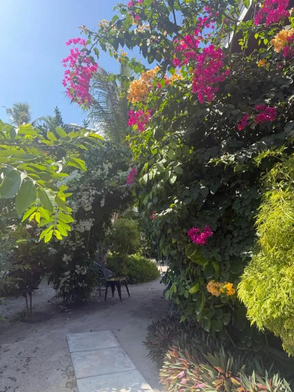 Aqua Oasis: another view