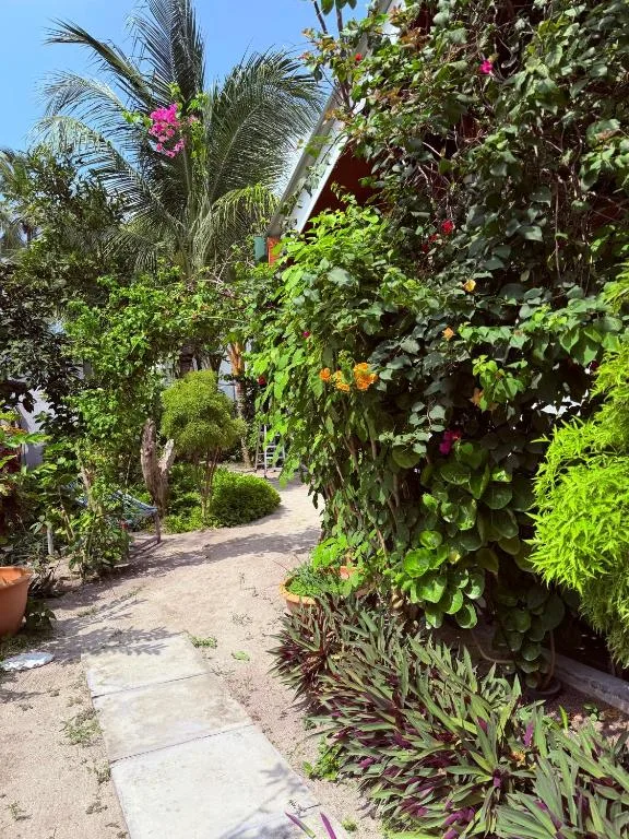 Aqua Oasis: another view