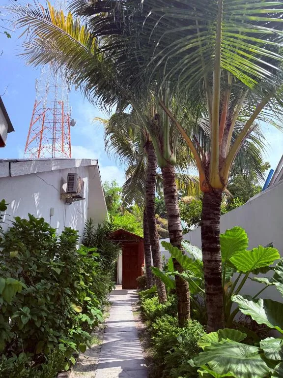 Aqua Oasis: another view