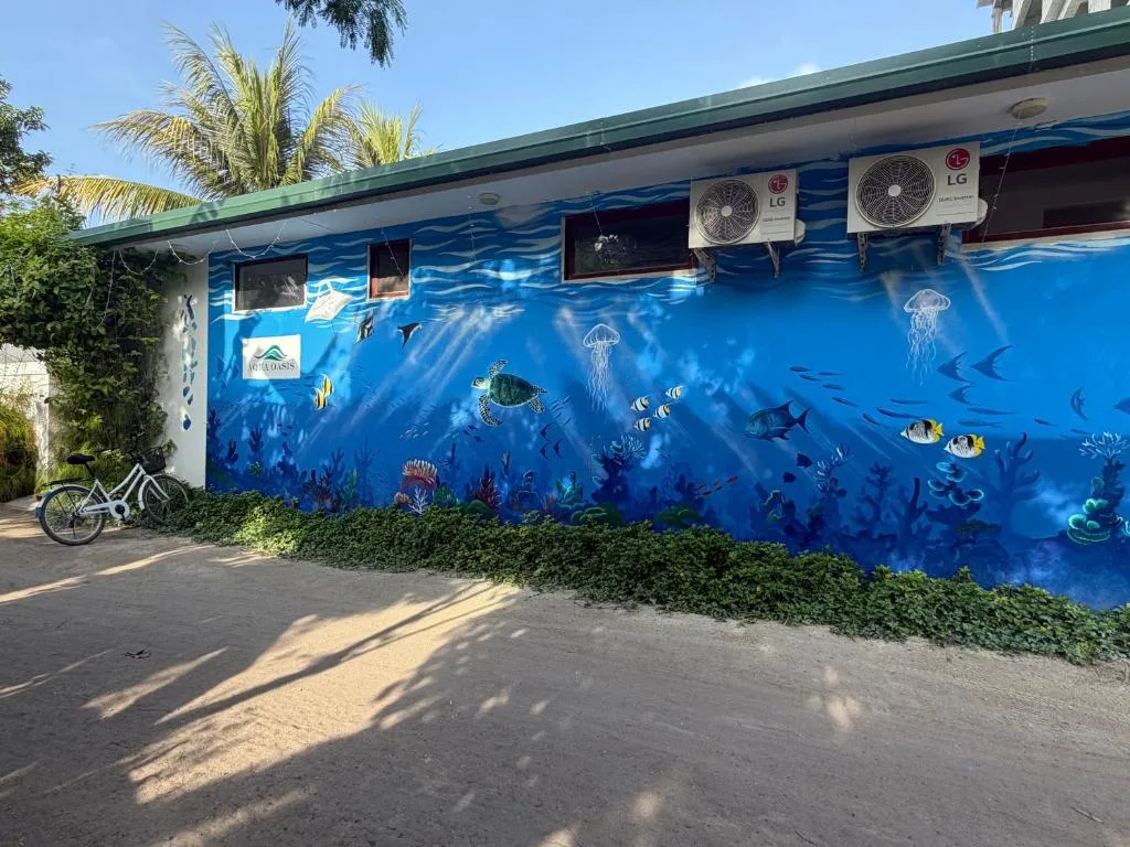 Aqua Oasis: another view