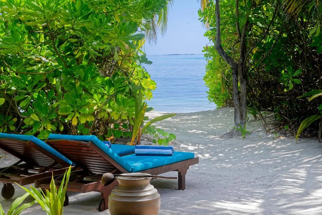 Canareef Resort Maldives: another view