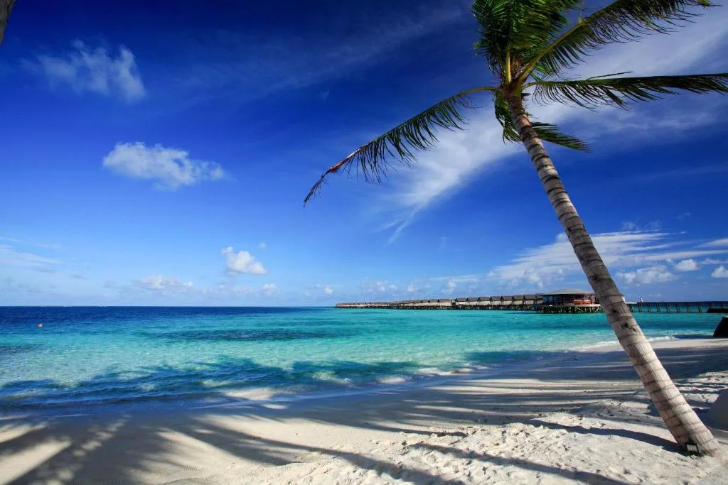 Centara Ras Fushi Resort & Spa Maldives: another view