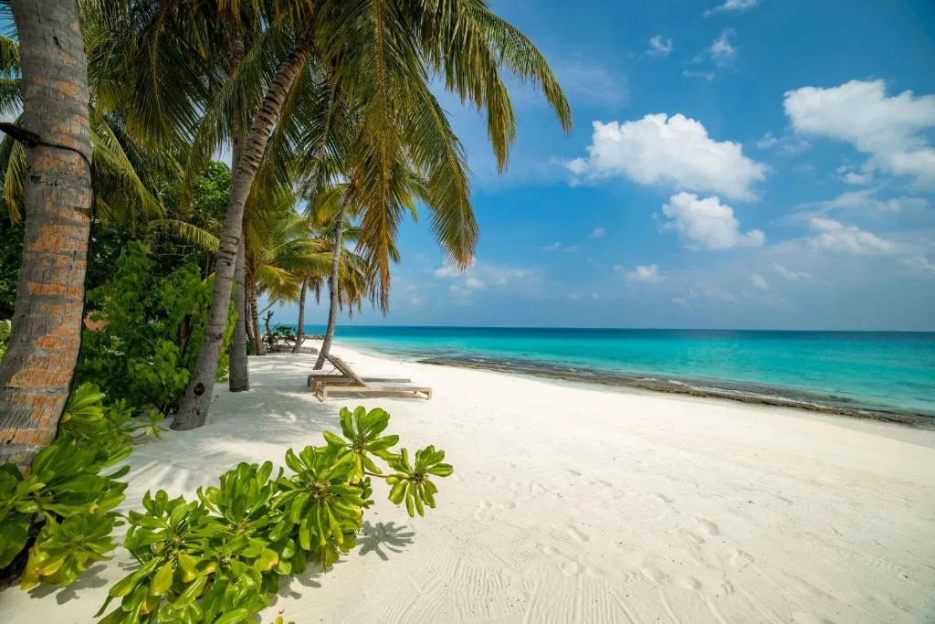 Fiyavalhu Resort Maldives: another view