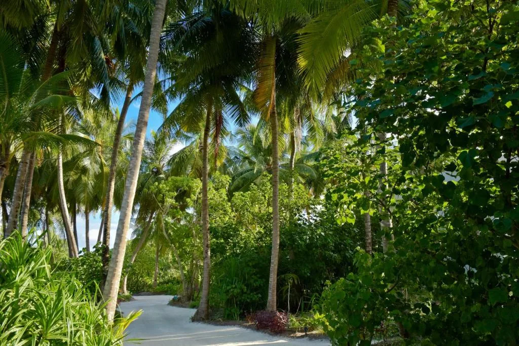Kandima Maldives: another view