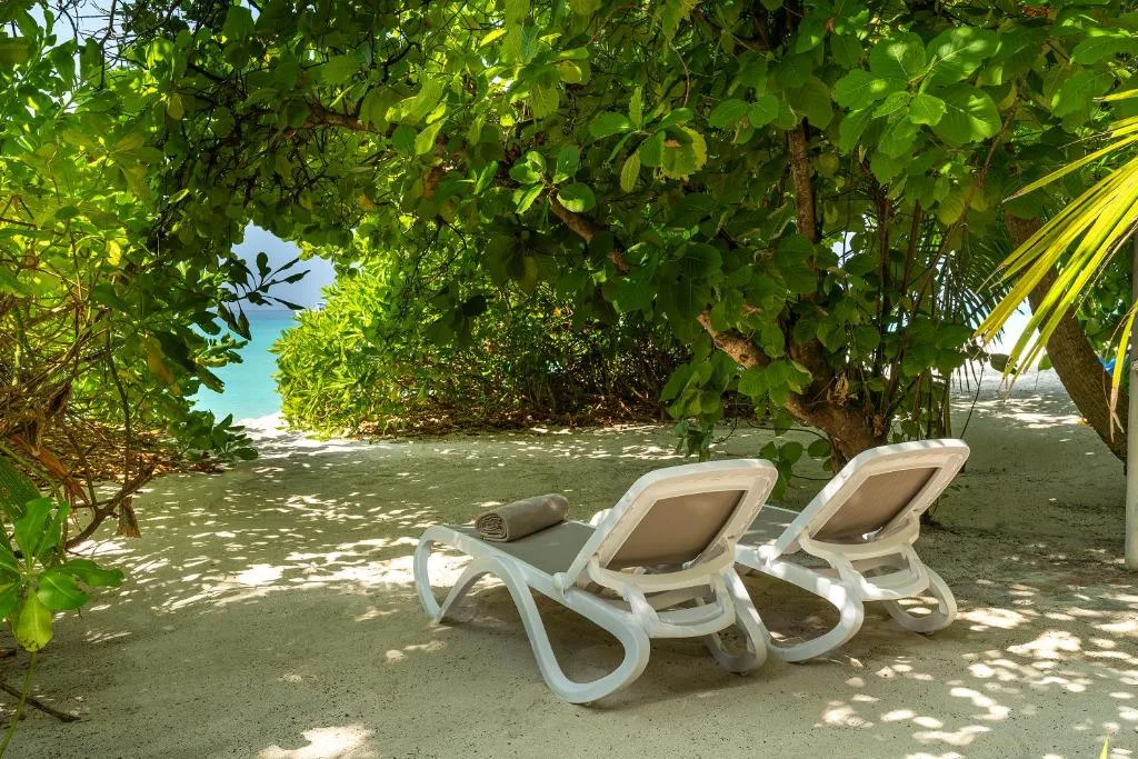 Niva Kuramathi Maldives: another view