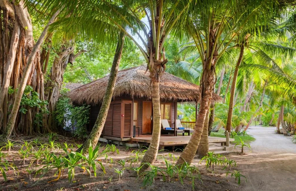 Niva Kuramathi Maldives: another view