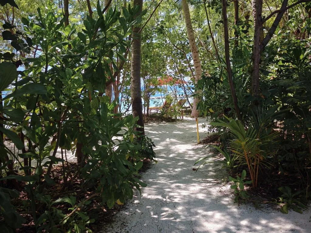 Oaga Art Resort Maldives: another view