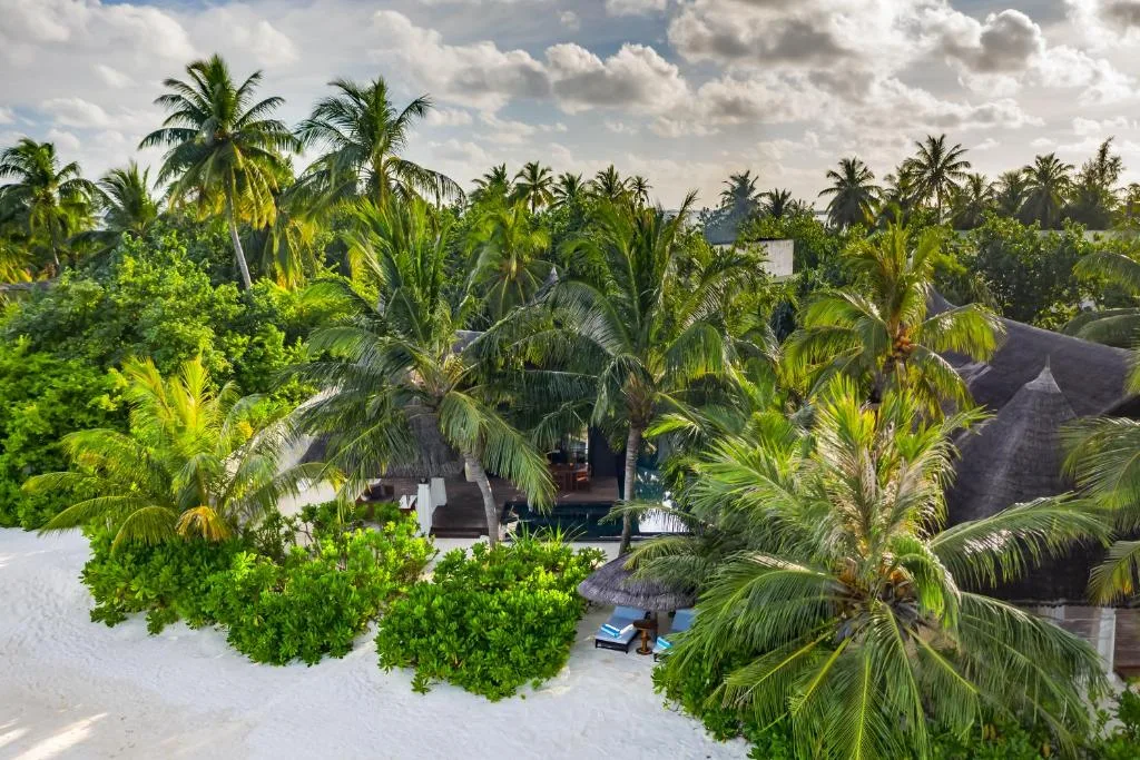OZEN RESERVE BOLIFUSHI: another view