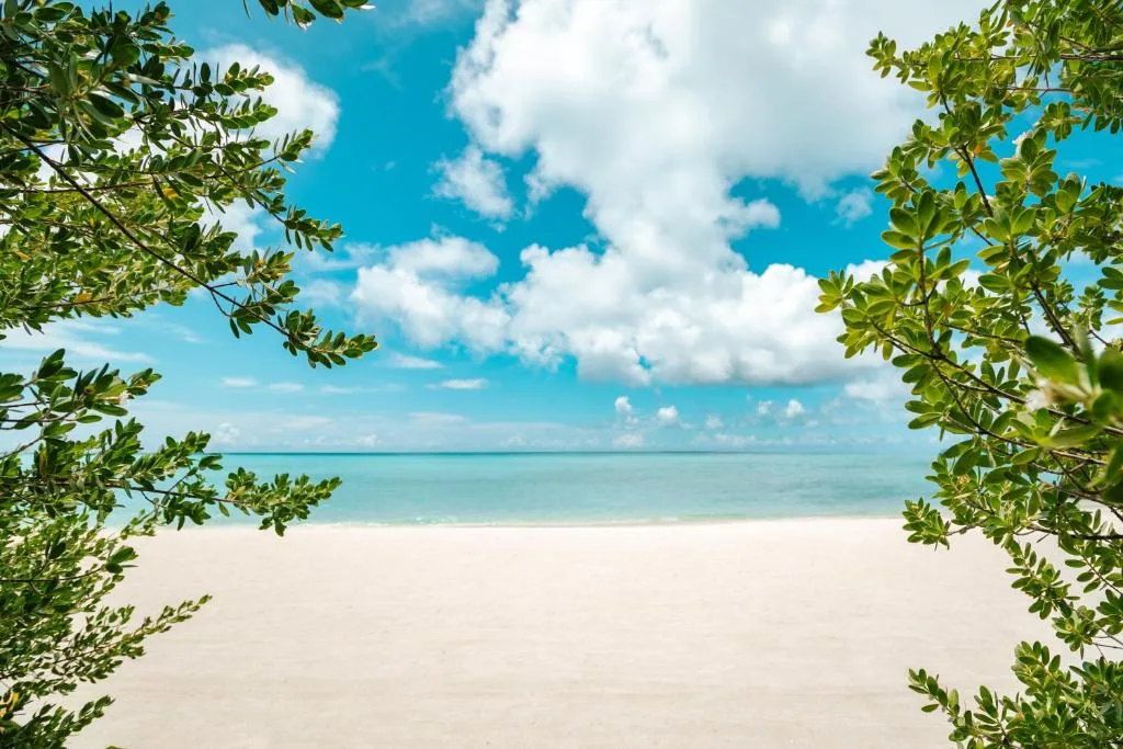 Taj Exotica Resort & Spa, Maldives: another view