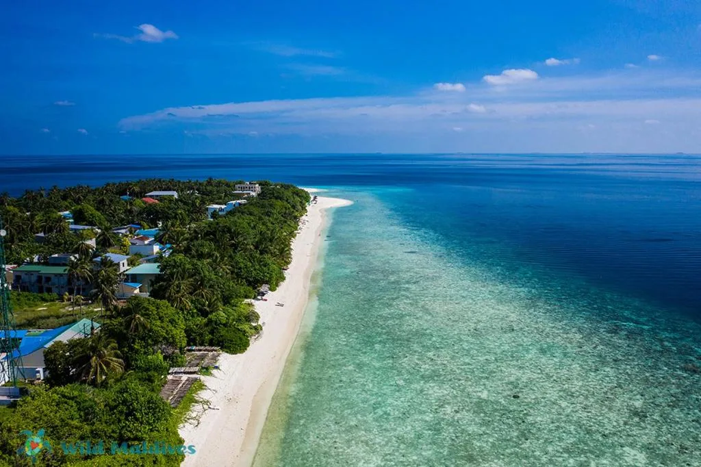 Ukulhas Villa Hotel & Spa: another view